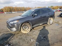 Salvage cars for sale at Conway, AR auction: 2023 Toyota Rav4 LE