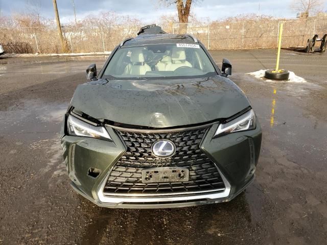 2020 Lexus UX 250H