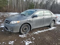 2012 Toyota Corolla Base en venta en Cookstown, ON