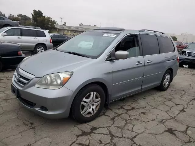 2006 Honda Odyssey EXL