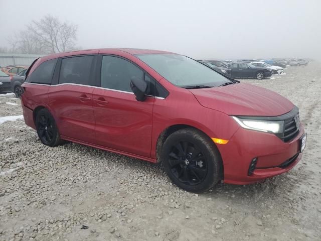 2024 Honda Odyssey Sport