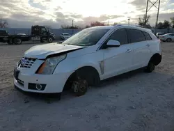 Cadillac SRX salvage cars for sale: 2013 Cadillac SRX Performance Collection