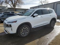 Salvage cars for sale at Albuquerque, NM auction: 2023 Hyundai Santa FE Limited