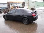 2005 Dodge Neon SXT