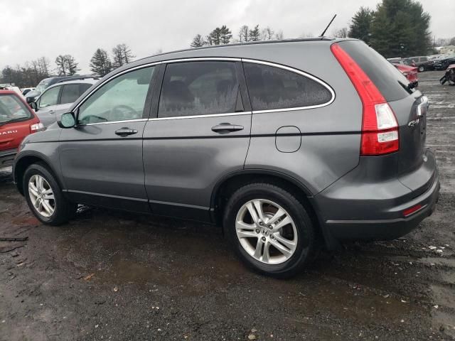 2010 Honda CR-V EXL