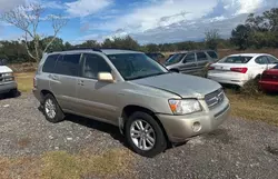 2006 Toyota Highlander Hybrid en venta en Apopka, FL