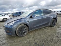 Salvage cars for sale at Antelope, CA auction: 2021 Tesla Model Y