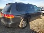 2004 Honda Odyssey EXL