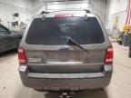 2009 Ford Escape XLT