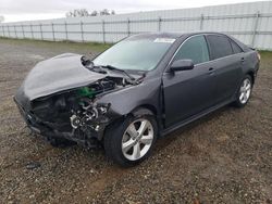 2011 Toyota Camry Base en venta en Anderson, CA