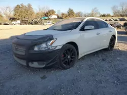 Vehiculos salvage en venta de Copart Madisonville, TN: 2010 Nissan Maxima S