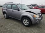 2008 Ford Escape XLS