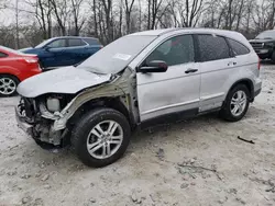 Salvage SUVs for sale at auction: 2010 Honda CR-V EX