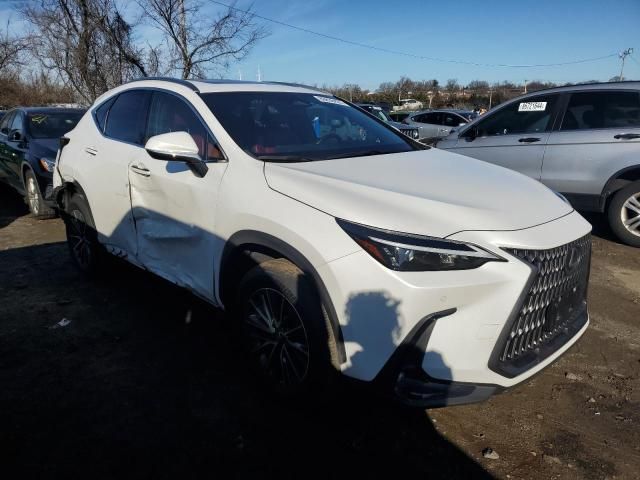 2022 Lexus NX 350