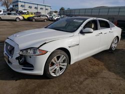 Salvage cars for sale at Albuquerque, NM auction: 2014 Jaguar XJL Portfolio