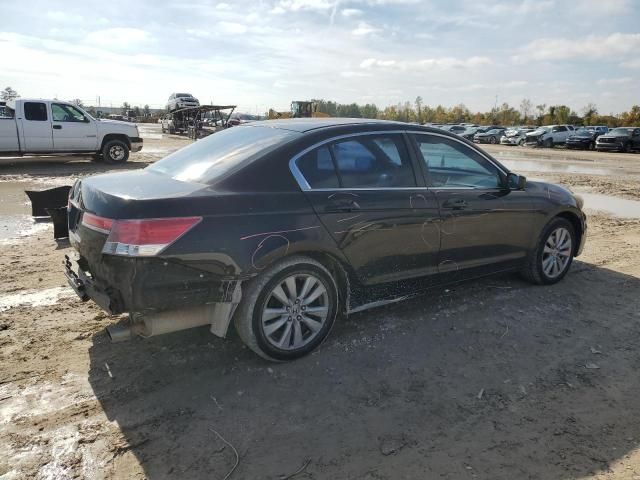 2011 Honda Accord EX