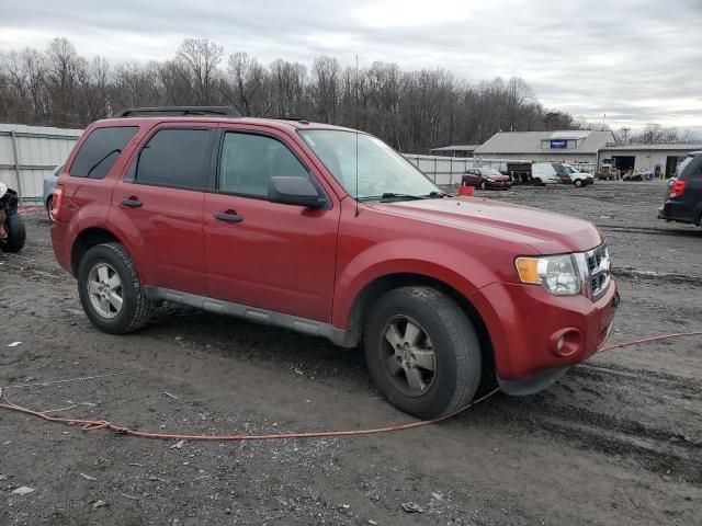 2010 Ford Escape XLT