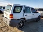 2007 Ford Escape XLS