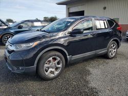 Lots with Bids for sale at auction: 2019 Honda CR-V EX