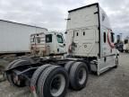 2023 Freightliner Cascadia 126