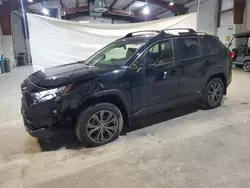 Toyota rav4 xle Premium salvage cars for sale: 2023 Toyota Rav4 XLE Premium