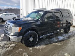 Salvage cars for sale at Windsor, NJ auction: 2010 Ford F150 Supercrew