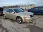 2010 Dodge Avenger R/T