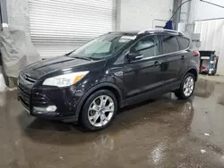 Salvage cars for sale at Ham Lake, MN auction: 2014 Ford Escape Titanium