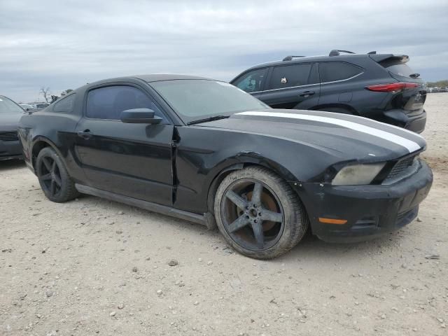 2010 Ford Mustang