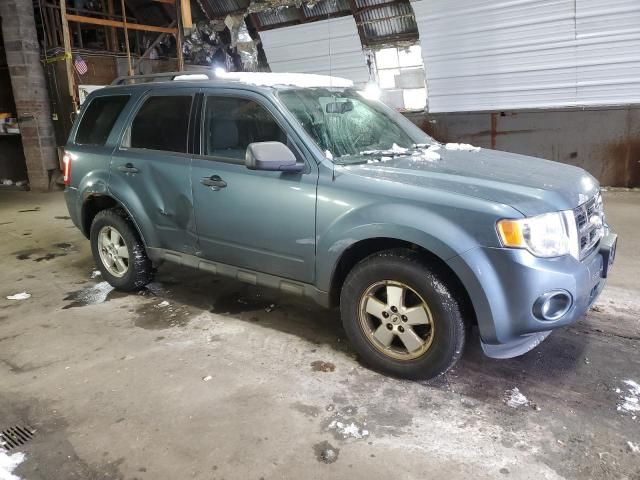 2011 Ford Escape XLT