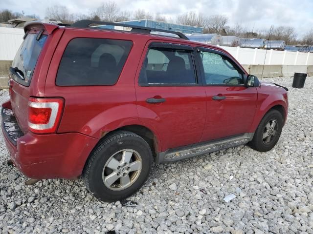 2010 Ford Escape XLT