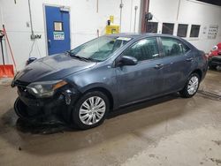 2014 Toyota Corolla L en venta en Blaine, MN