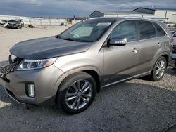 Salvage cars for sale at Earlington, KY auction: 2014 KIA Sorento SX