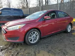 2015 Ford Focus SE en venta en Waldorf, MD