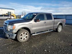 Salvage cars for sale from Copart Airway Heights, WA: 2014 Ford F150 Supercrew