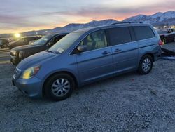 Honda Vehiculos salvage en venta: 2010 Honda Odyssey EX