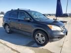 2011 Honda CR-V EXL