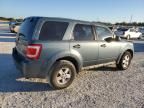 2011 Ford Escape XLS