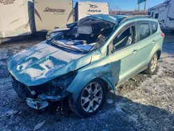 Salvage cars for sale at Elmsdale, NS auction: 2013 Ford Escape SEL