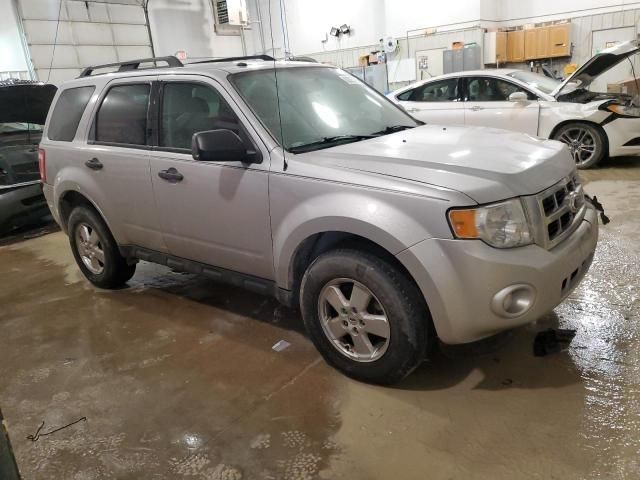 2011 Ford Escape XLT