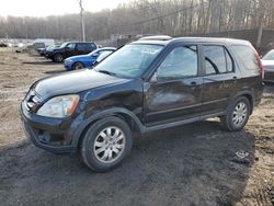 Salvage cars for sale at Baltimore, MD auction: 2006 Honda CR-V SE