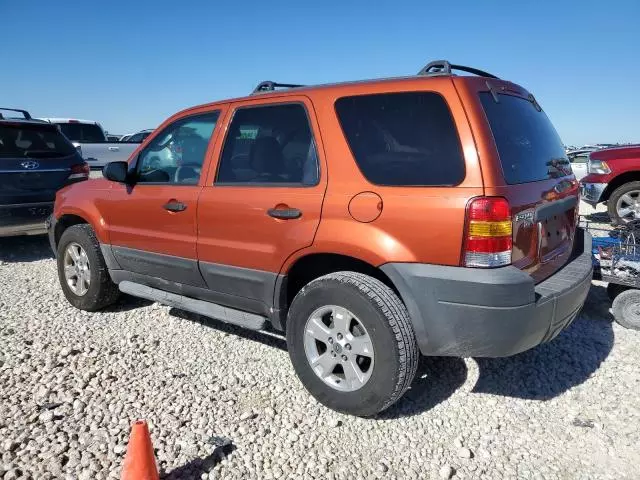 2006 Ford Escape XLT