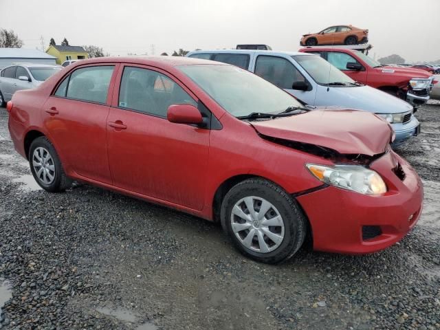 2010 Toyota Corolla Base