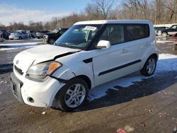 Salvage cars for sale at Ellwood City, PA auction: 2011 KIA Soul +