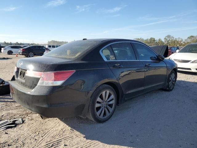 2011 Honda Accord EXL