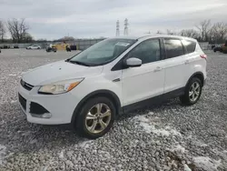 2014 Ford Escape SE en venta en Barberton, OH