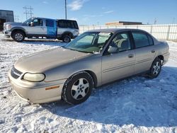 Salvage cars for sale at Bismarck, ND auction: 2004 Chevrolet Classic