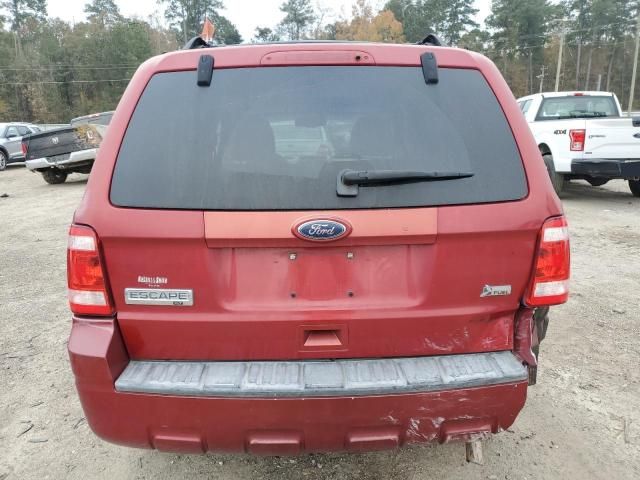 2010 Ford Escape XLT