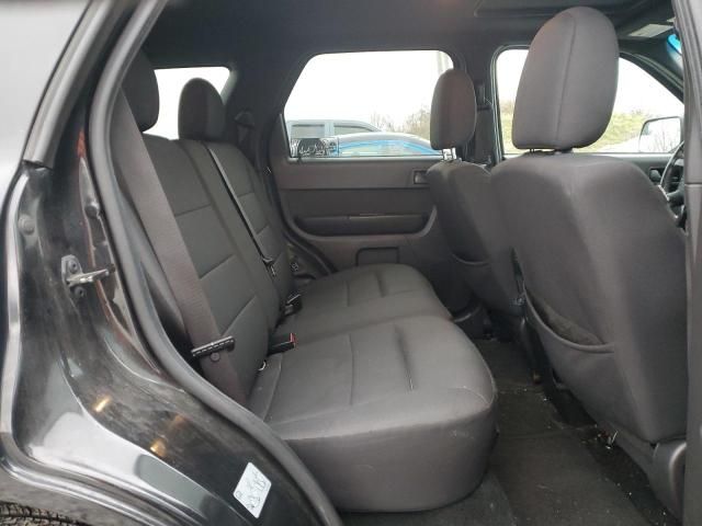 2011 Ford Escape XLT