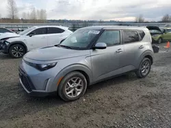 Salvage cars for sale from Copart Arlington, WA: 2024 KIA Soul LX